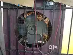 Cooler windows