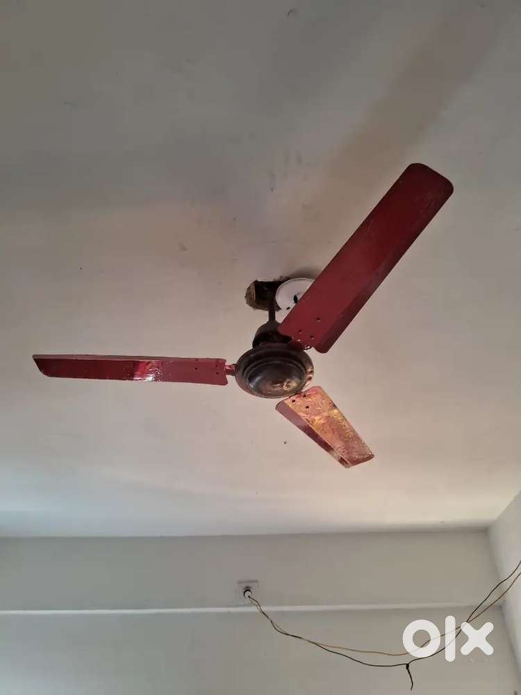 Celling fan orient 4 years used