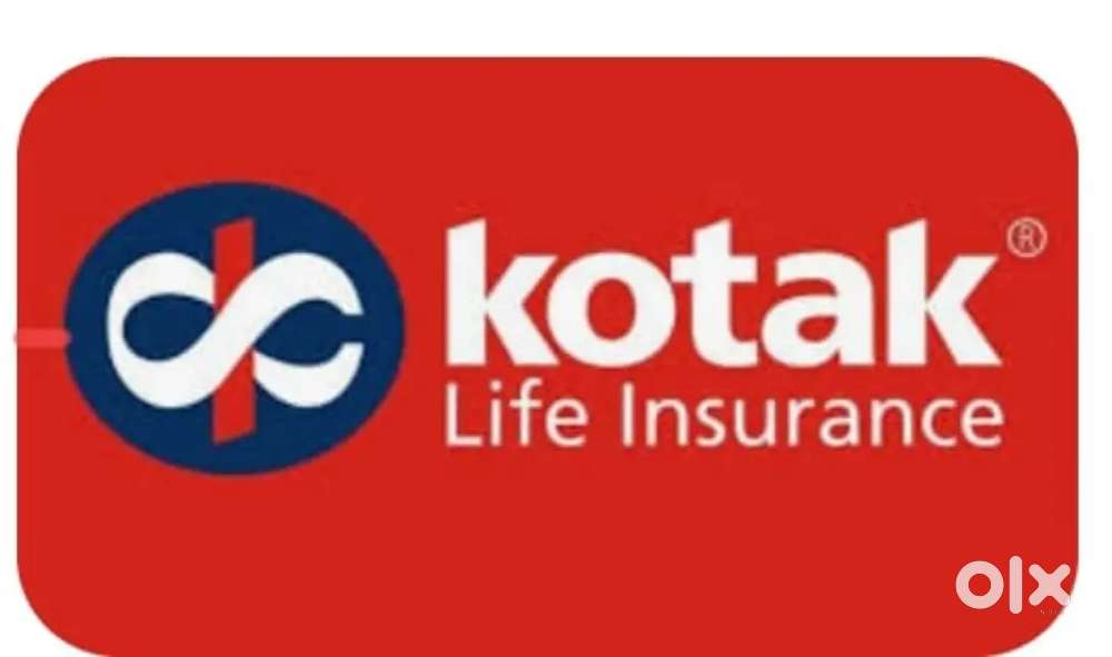 insurance manager (direct) and financiall consultant