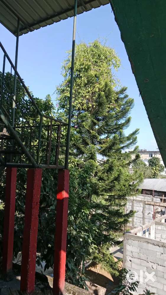 Homely atmosphere with Medical facialities