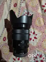Sony 18- 105 f4 G lens
