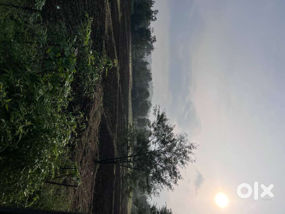 plot for sale konkan