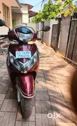 Neat and clean scoter