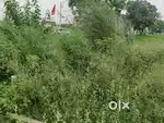 120 gaj plot in Prisma City Sector 124 Kharar Mohali