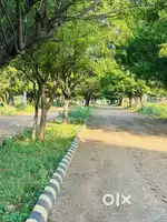 266.66 Guz plot for sale near mahlan 20 lacs main