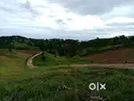 Land for sale at Tynring