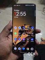 2 MONTHS OLD ONE PLUS 13 12GB 256GB