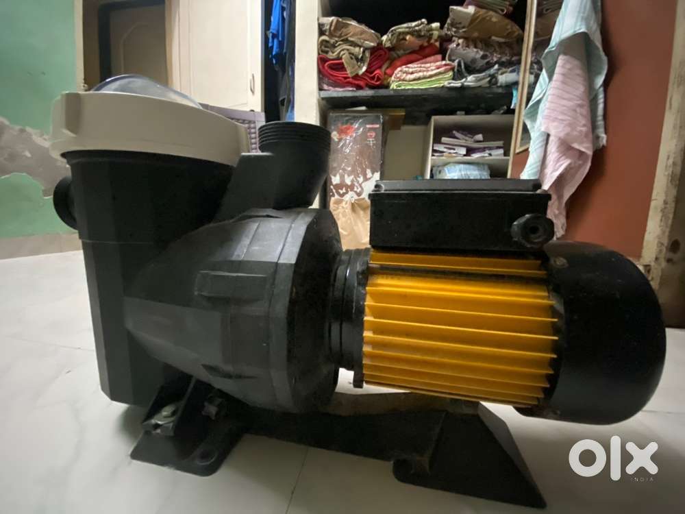 Swimming water purifier