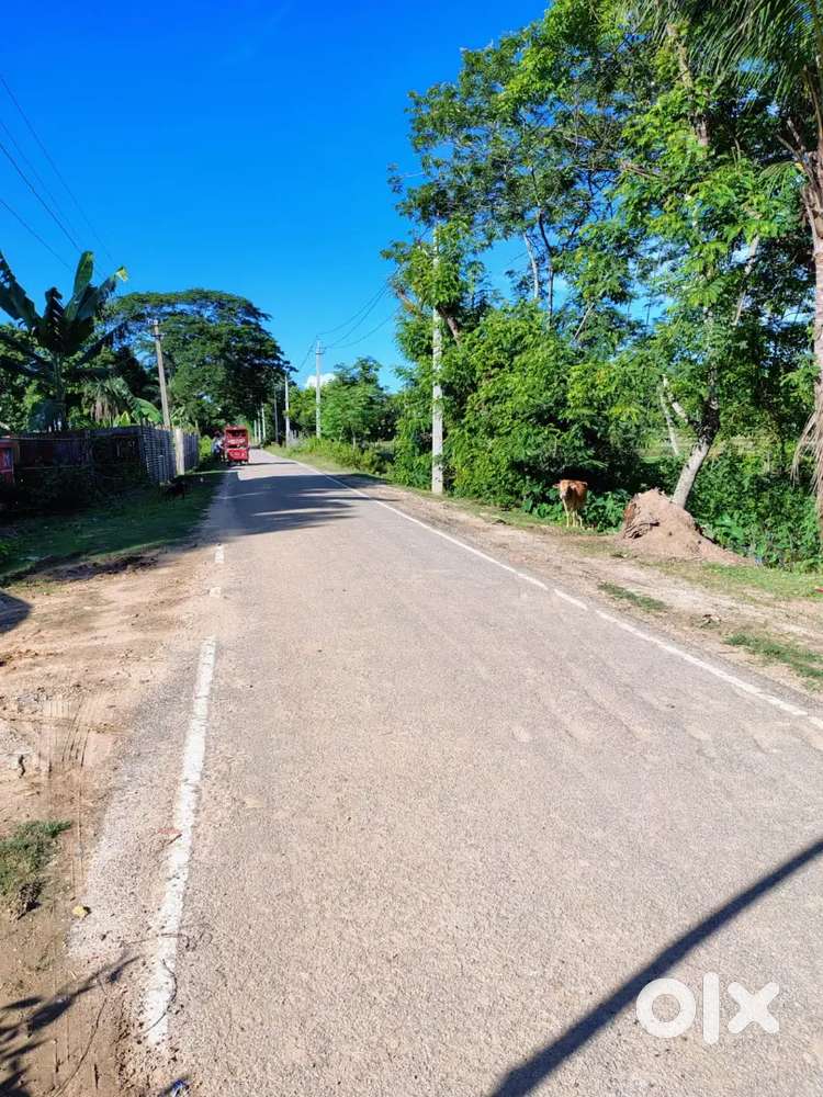 Near main road