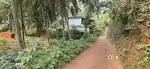 18.5 Cent Near thondayad bypass