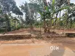 21 cent  വസ്തു വില്പനയ്ക്ക്