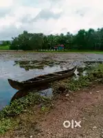 തടി വള്ളം Boat vallm