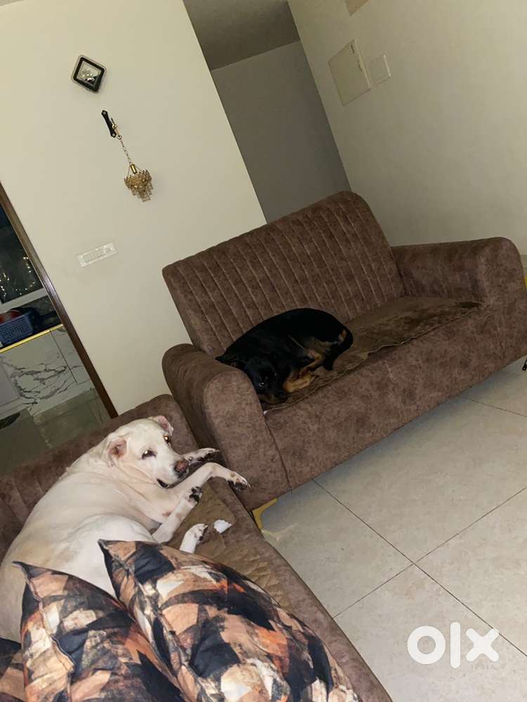 Need maid for full time immediately joining