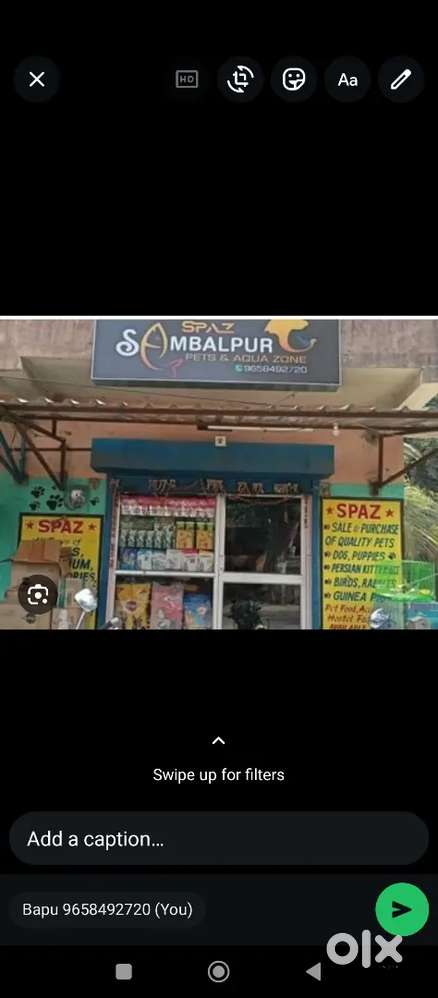 Need a girls staff for pet store