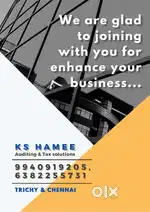 Audit assistant