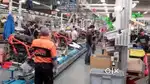 50 + vacancy available in manufacturing company