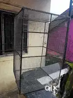 birds cage