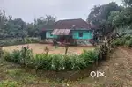 3 ACKRS COFFEE PROPERTY WITH HOUSE FOR SALE