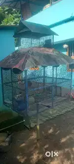 Lovebird cage