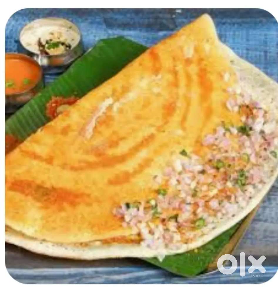 Kal master with kitchen work