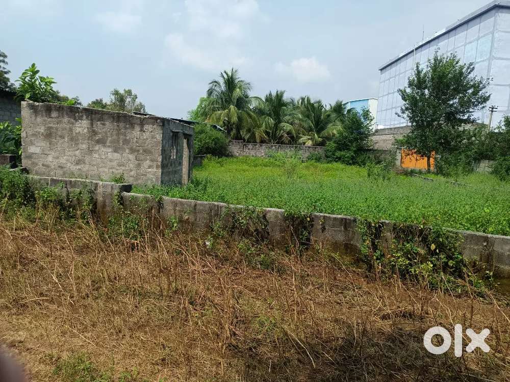 Open plot 520 syrd