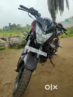Bs 6 2y8month