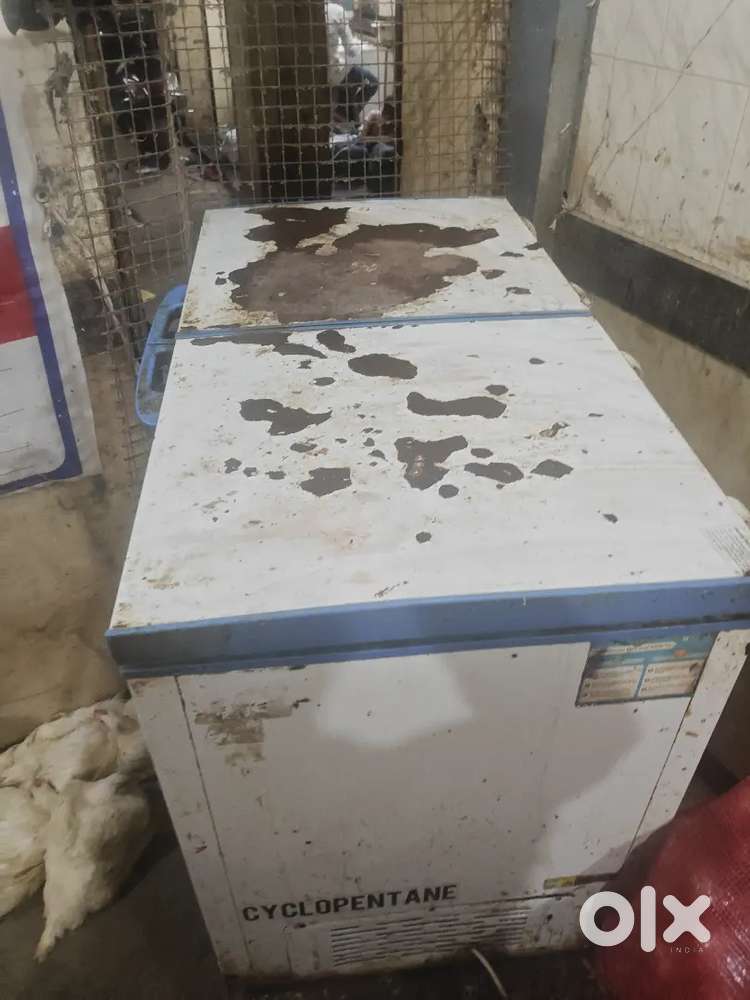 Bluestar 350 litre double door refrigerator