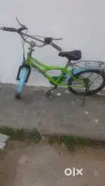 Ninja Mutant