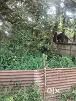 Thrissur kuriachira main road 25 cent plot for sale per cent 17 lakh