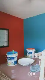 Painter painter