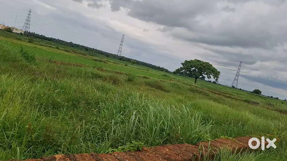 Khurda,Pitapalli Near Gandhi science college.