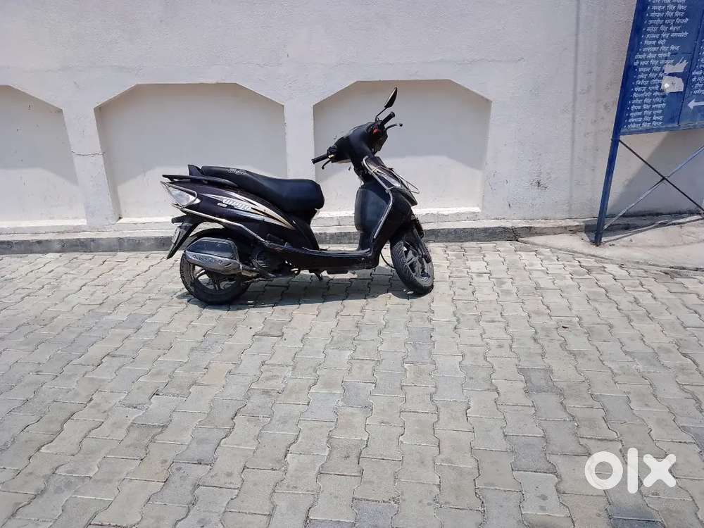 TVs wego Scotty
