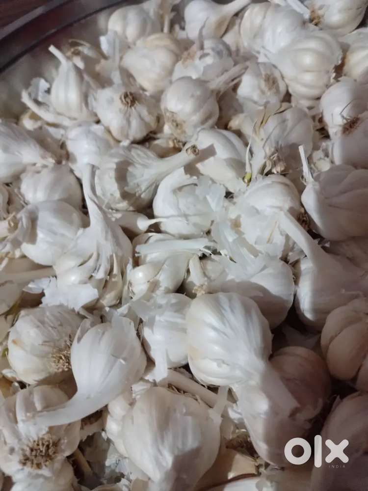 Cook and Housekeeper