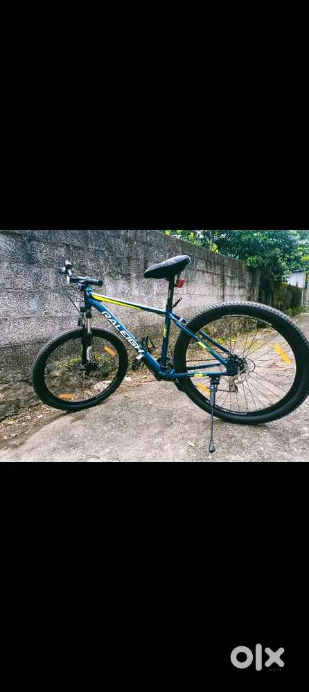 RALEIGH TERRIAN 30