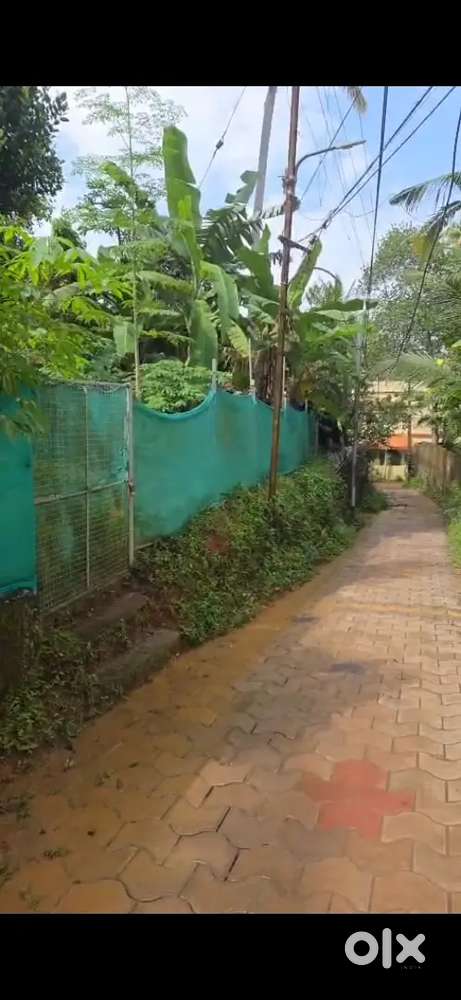 Trivandrum pongumoodu main road 1km 5.5 cent orginl dry land
