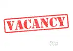 Busy software operator having accounting knowledge