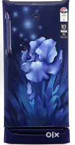 Godrej 185 L, 4 Star Inverter Direct-Cool Single Door Fridge
