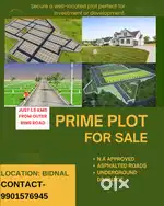 Commercial plot