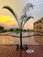Hotel front office