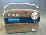 Saregama carvaan radio bluetooth