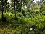 21 cent parambu for sale near chevayoor kirthads