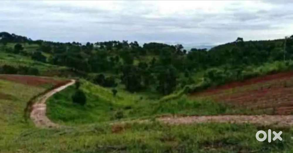 The land for sale at Tynring.