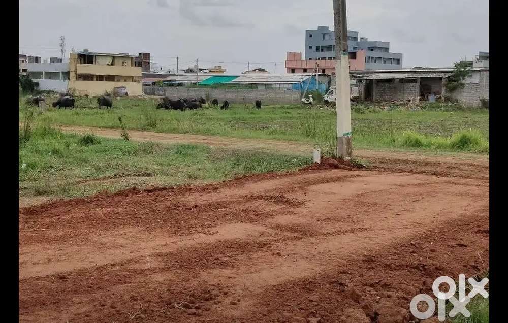 100 sy west facing plot payakapuram udacolony