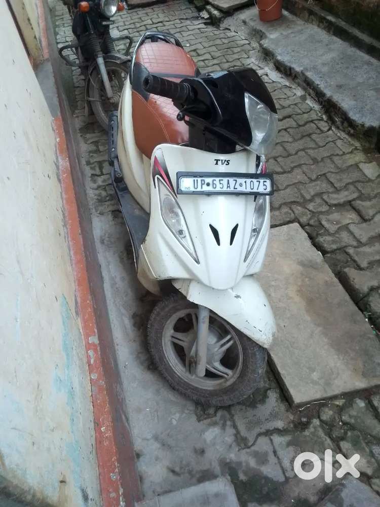 180cc pelser or 110cc TVs wego