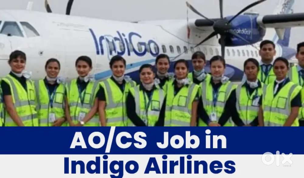 Indigo Airlines jobs Vacancy for Airport Ground staf/Driver/Cabin Crew