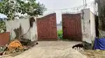 3 kattha city kali mandir