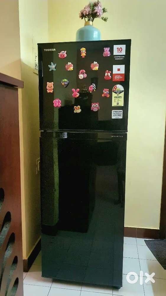 Thoshiba Double door Black Refrigerator
