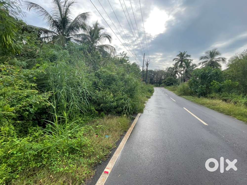 Plots for Sale – Kannvathira, Manjeshwar