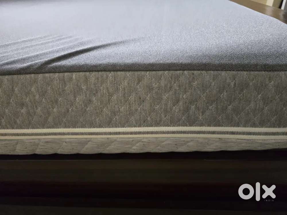 Wakefit ortho plus mattress