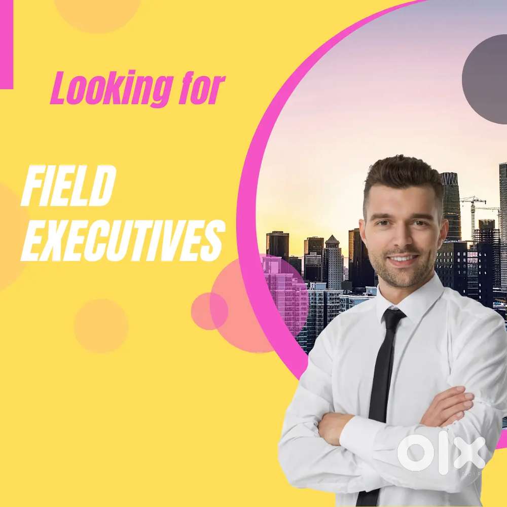 FIELD EXECUTIVE